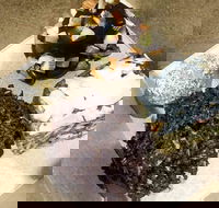 Freddie Wimpoles - Accommodation in Brisbane