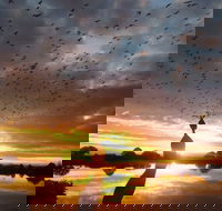 Old Lodge Gallery Emporium and River Cafe - Accommodation in Brisbane