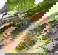 Ryan's Gourmet Kitchen