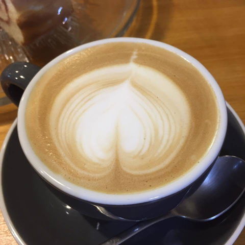 Urban Tree - Accommodation in Brisbane 0