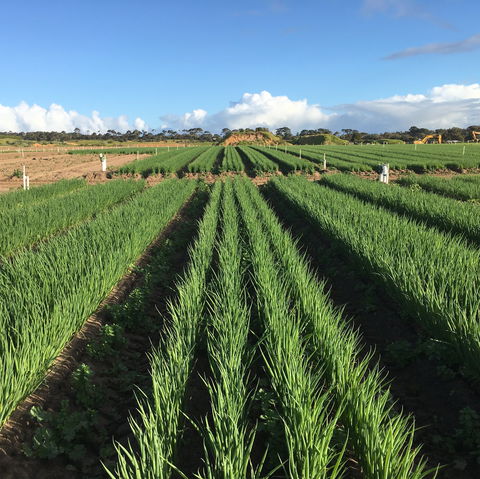 Hawkes Farm - Accommodation in Brisbane 0