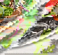 Sumo Salad - South Brisbane