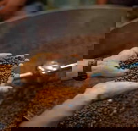 Yahava Koffeeworks - West Swan - Accommodation in Brisbane