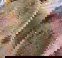 Zaika Tandoor - Accommodation in Brisbane