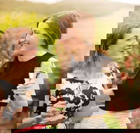 De Bortoli Wines Pokolbin