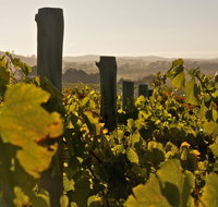 Wimbaliri Wines - Accommodation in Brisbane