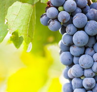 Eden Road Wines - Accommodation in Brisbane