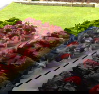 That Food Truck - Accommodation in Brisbane