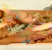 Fat Monk - Accommodation in Brisbane