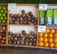 Melonhead - Accommodation in Brisbane