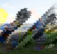 Sunhill Dairy Goats and Sunhill Skin Essentials - Accommodation in Brisbane