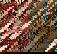 The Spice Yard - Accommodation in Brisbane