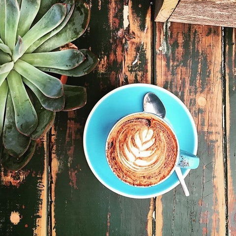 Charlotte's Little Sister - Pennant Hills - Accommodation in Brisbane 0