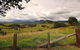 Faulls Ridge Winery - thumb 1