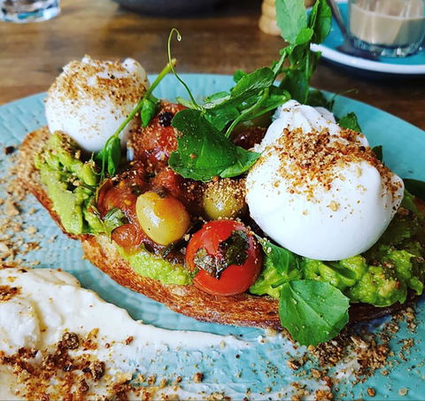 Fox And Bow - Accommodation in Brisbane 0