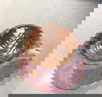 Spectrum On Chapel - Accommodation in Brisbane