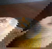 Hungry Grasshopper - Accommodation in Brisbane