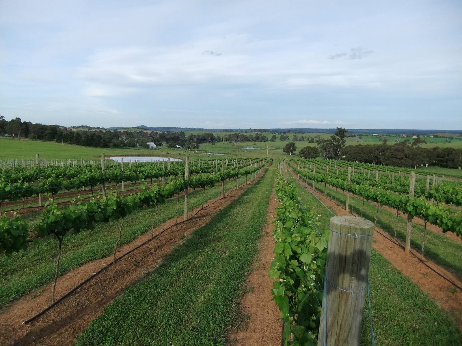 Menangle NSW Accommodation in Brisbane