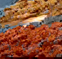 Spice Blast - Accommodation in Brisbane