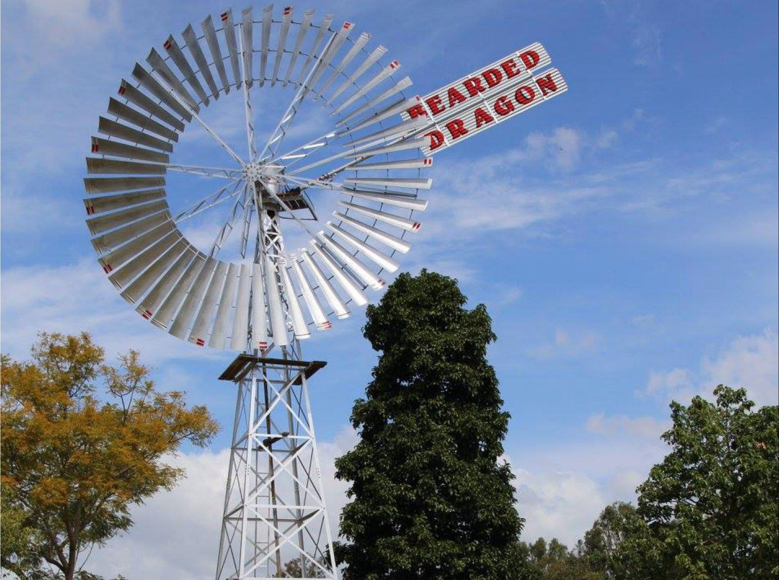 Tamborine QLD Accommodation in Brisbane