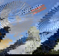 Bearded Dragon Hotel - Accommodation in Brisbane