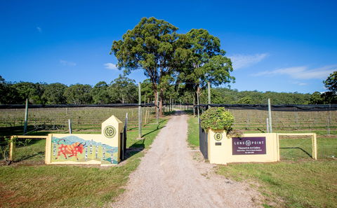 Long Point Vineyard And Art Gallery - Accommodation in Brisbane 1