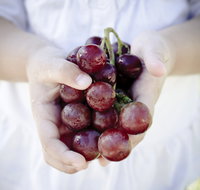 Granitevale Winery - Accommodation in Brisbane