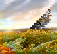 Hahndorf Hill Winery