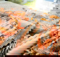 Rufus King Seafoods Amity Point