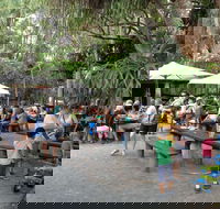 Apollonian Hotel - Accommodation in Brisbane