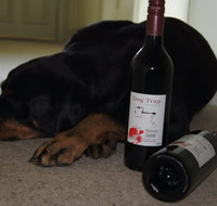 Dog Trap Vineyard - Accommodation in Brisbane
