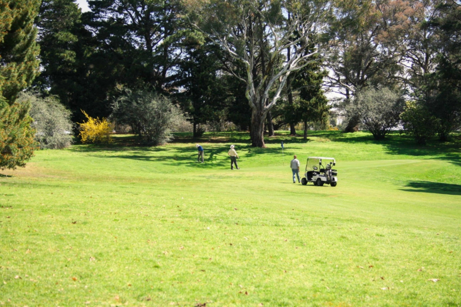 Bango NSW Accommodation in Brisbane
