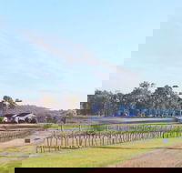 Blacklea Vineyard and Olive Grove - Accommodation in Brisbane