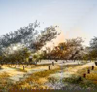 Guneemooroo Estate - Accommodation in Brisbane