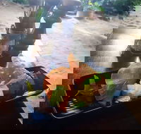 Beach Shack Restaurant