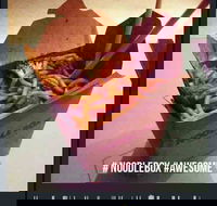 Noodle Box - Mermaid Beach - Accommodation in Brisbane