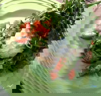 Snackleberry - Accommodation in Brisbane