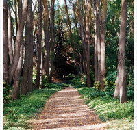 The Field of Dreams Cafe - Accommodation in Brisbane