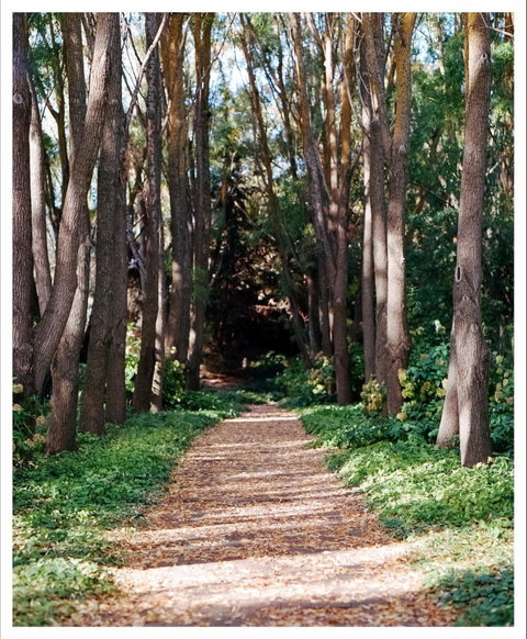The Field Of Dreams Cafe - Accommodation in Brisbane 0