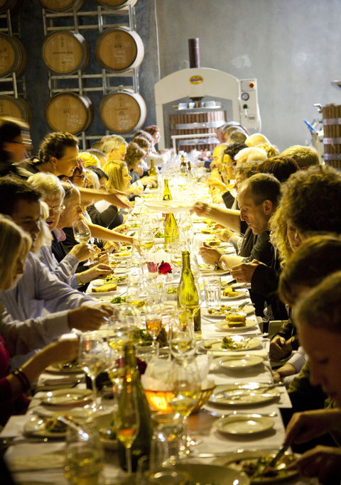 Dalwhinnie Wines - Accommodation in Brisbane 2