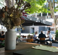 Botanic Wine Garden - Accommodation in Brisbane