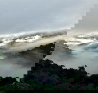 The Mushroom at Waratah