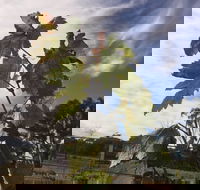 Banca Ridge Cellar Door and Vineyard - Accommodation in Brisbane