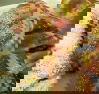 Beachside Bakery - Accommodation in Brisbane