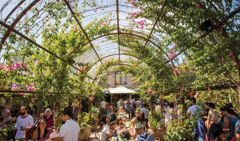 The Grounds Of Alexandria - Accommodation in Brisbane 2