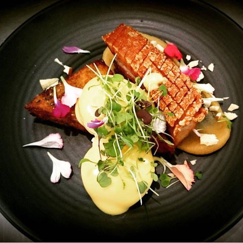 Jerry Joy - Accommodation in Brisbane 0