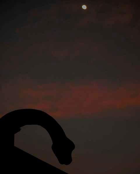 Rell's Kitchen - Accommodation in Brisbane 3