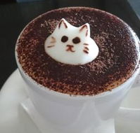 Cafe 2340 - Accommodation in Brisbane