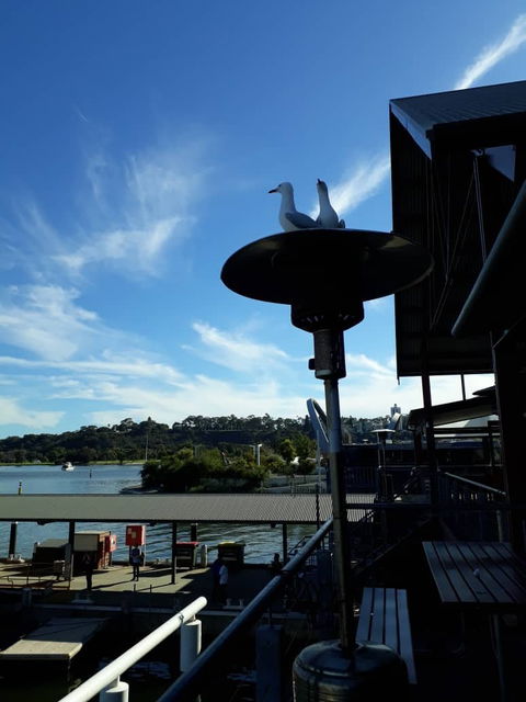 Annalakshmi On The Swan - Accommodation in Brisbane 6
