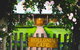 Rollonin Cafe - thumb 1